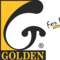 Golden Dynamics Pvt Ltd logo